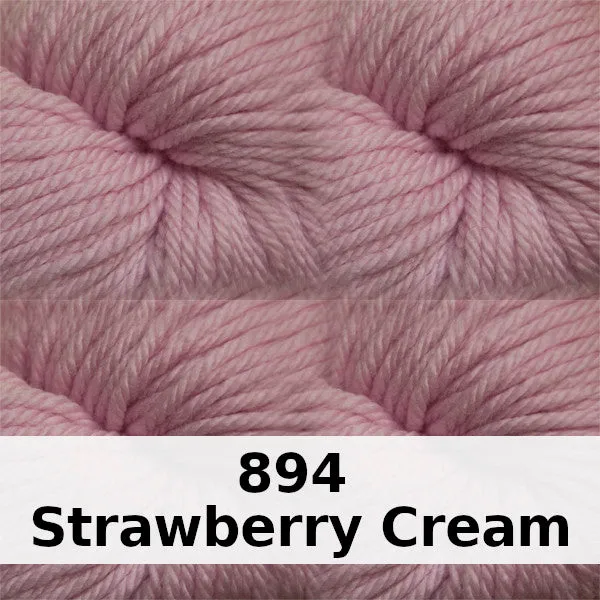 Cascade 220 Superwash Aran